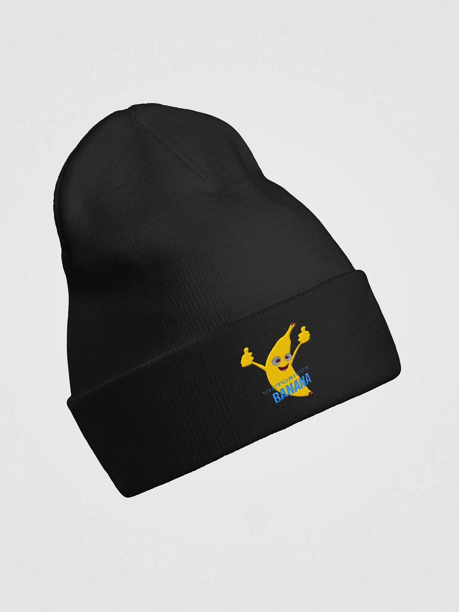 Beanie 1 product image (3)