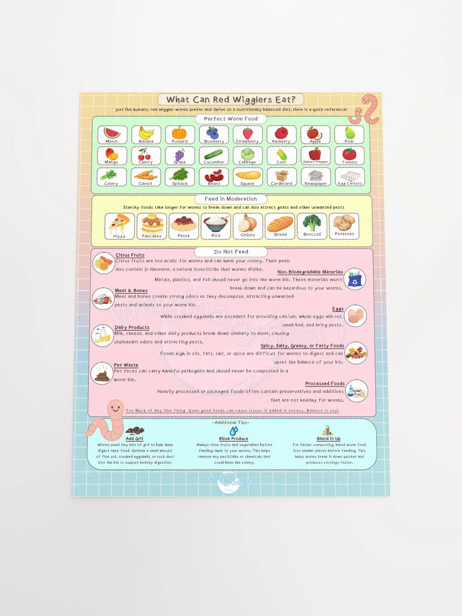 Red Wrigglers Guide Food Chart Poster product image (4)