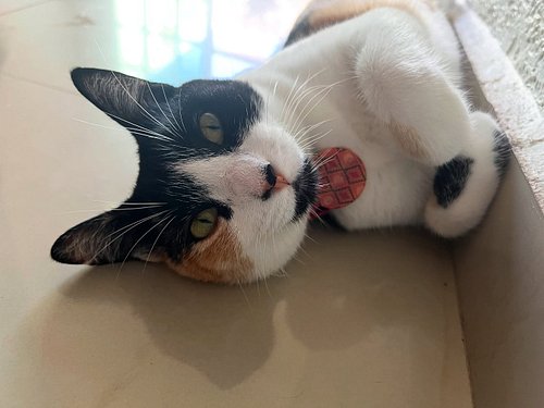How is your day going…

-Catty