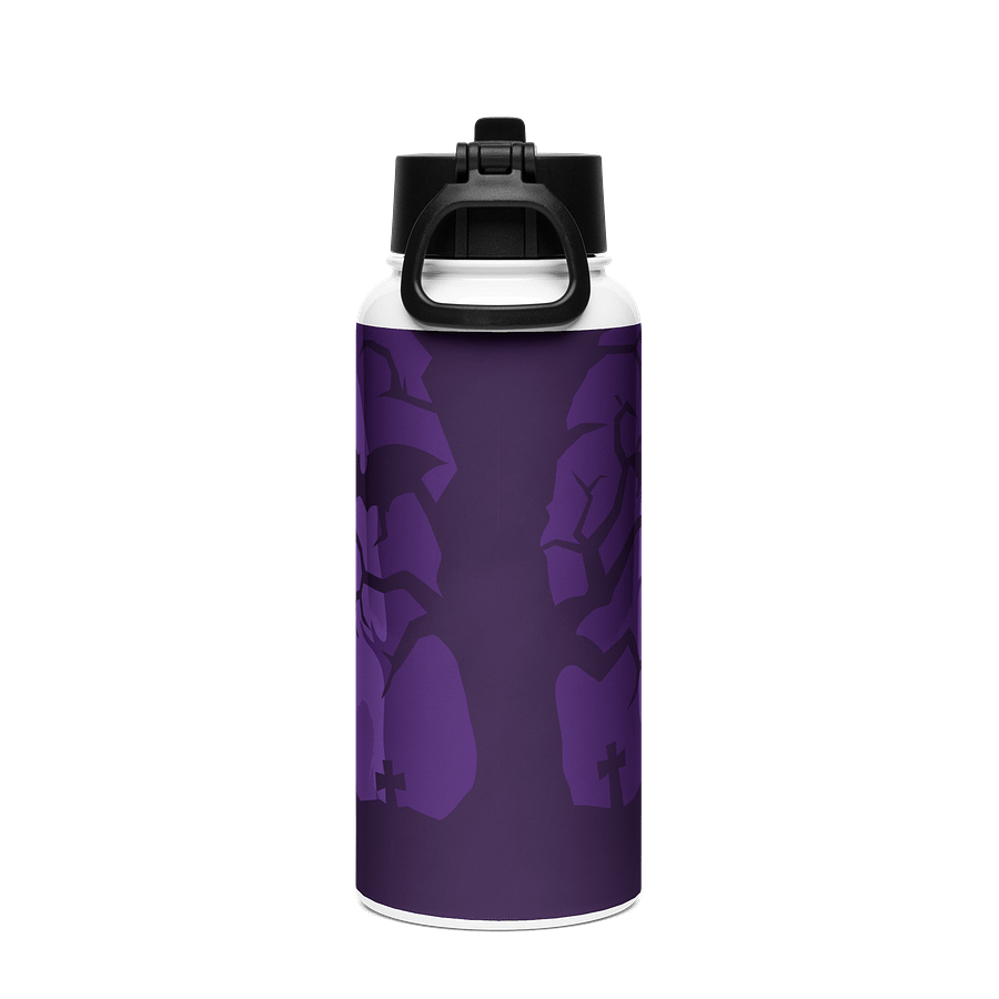Stainless Steel Water Bottle with a Straw Lid product image (2)