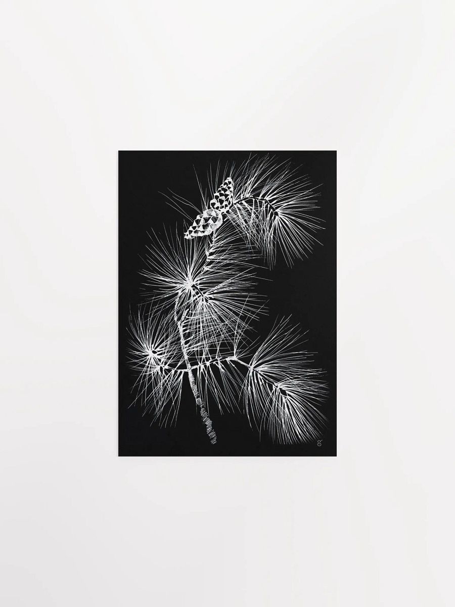 Vibrant Matte Paper Poster - Pine Branch and Cones product image (1)