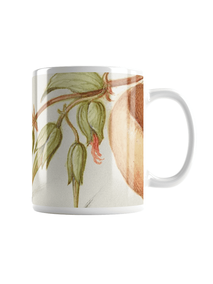 Illuminated Manuscript Inspired White Glossy Mug product image (1)