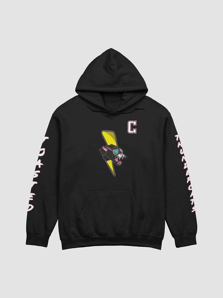 Toasted Thundercats Gilden Hoodie product image (25)