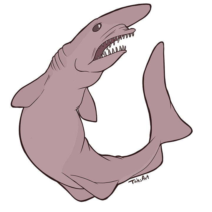 Goblin Shark product image (1)