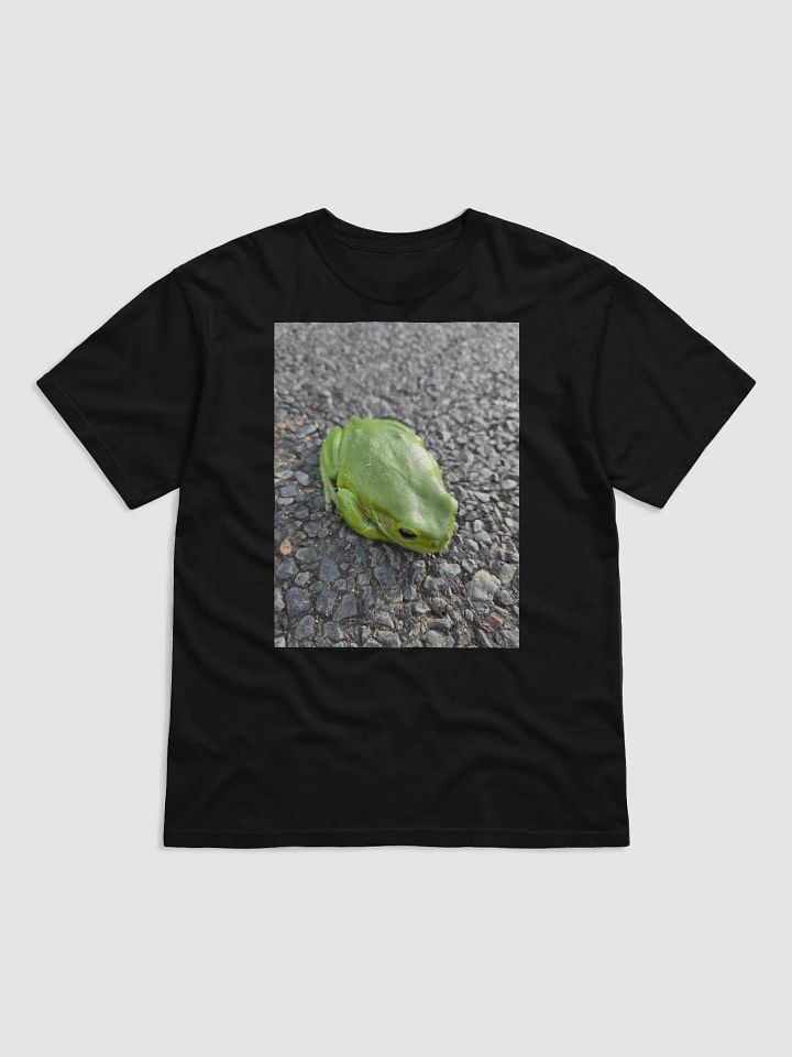 Frog on the road product image (1)