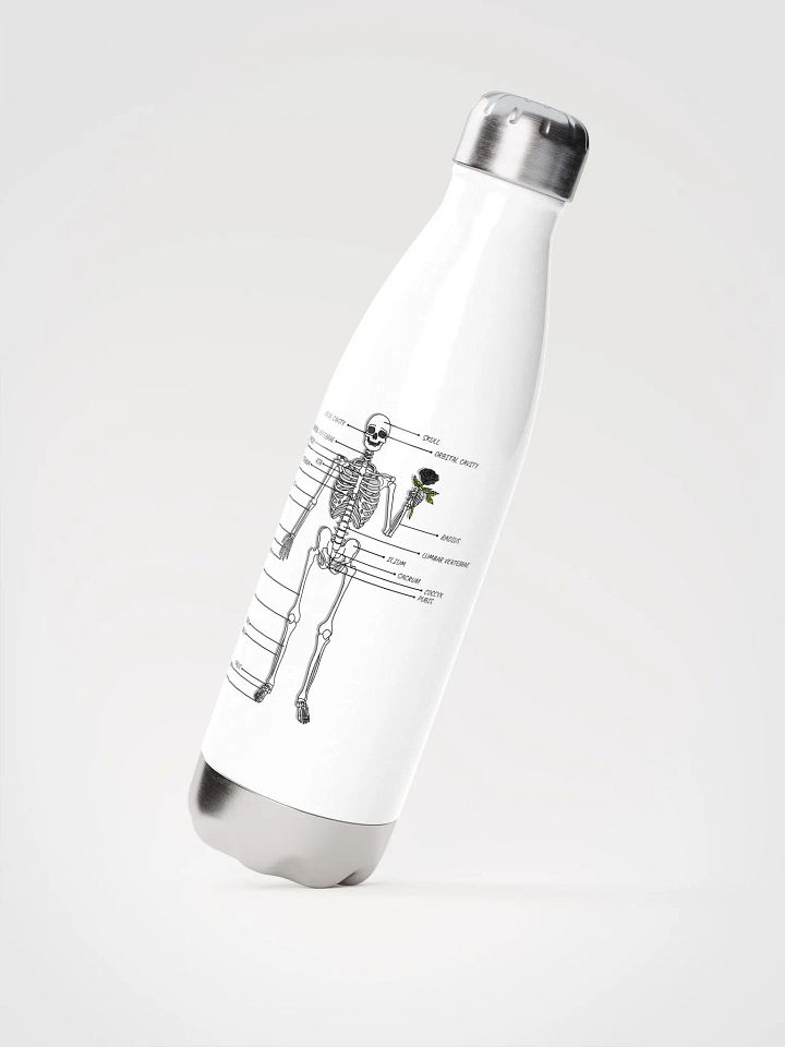Hello and Welcome Bottle product image (2)