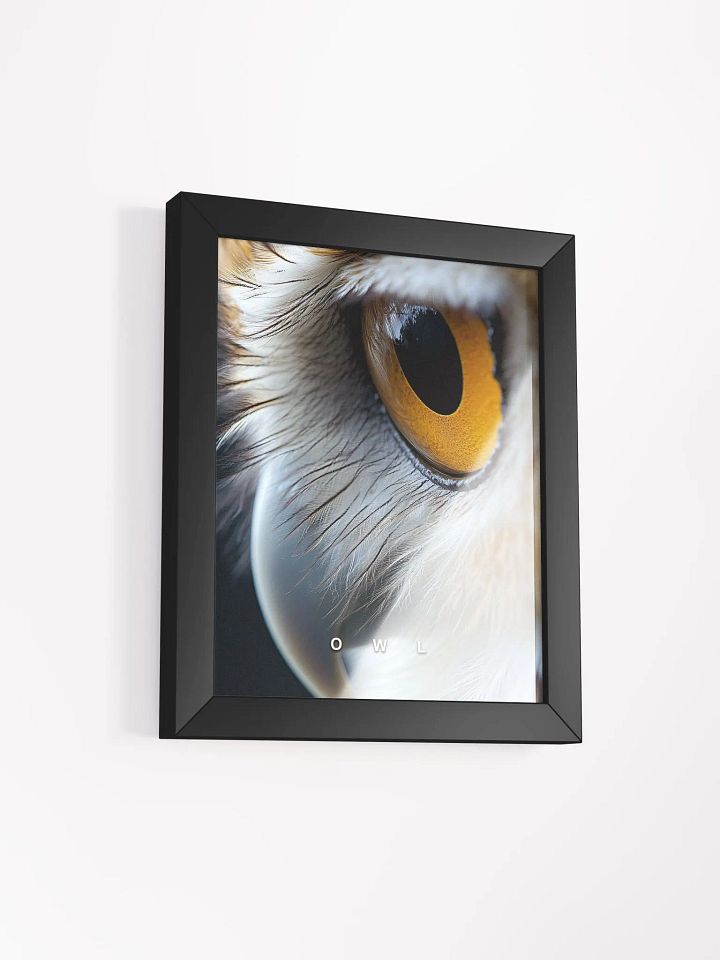 Owl's Eye Matte Poster product image (17)