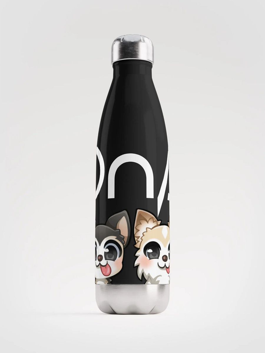 Steel Water Bottle (DnA) product image (1)