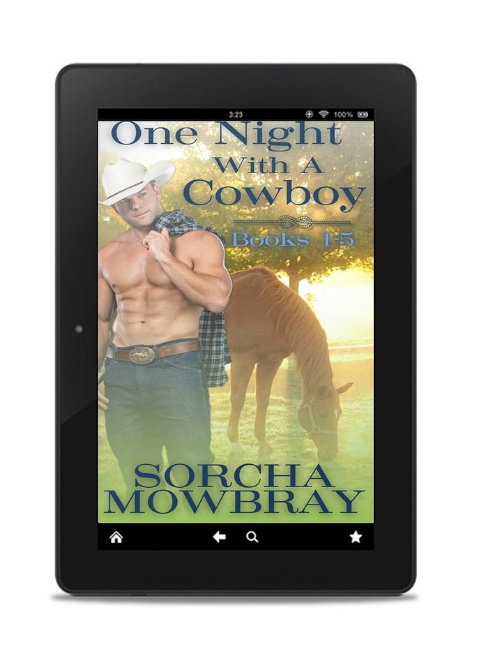One Night With A Cowboy product image (1)