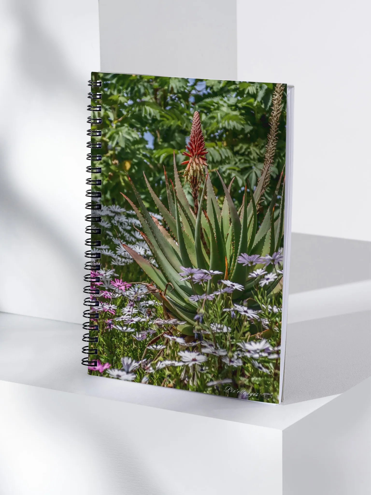 📓 Notebook Collection PURE – Jardin du Rayol – Aloe & Marguerites du Cap product image (4)