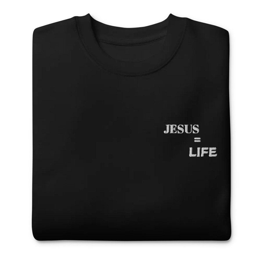 Sweatshirt product image (12)