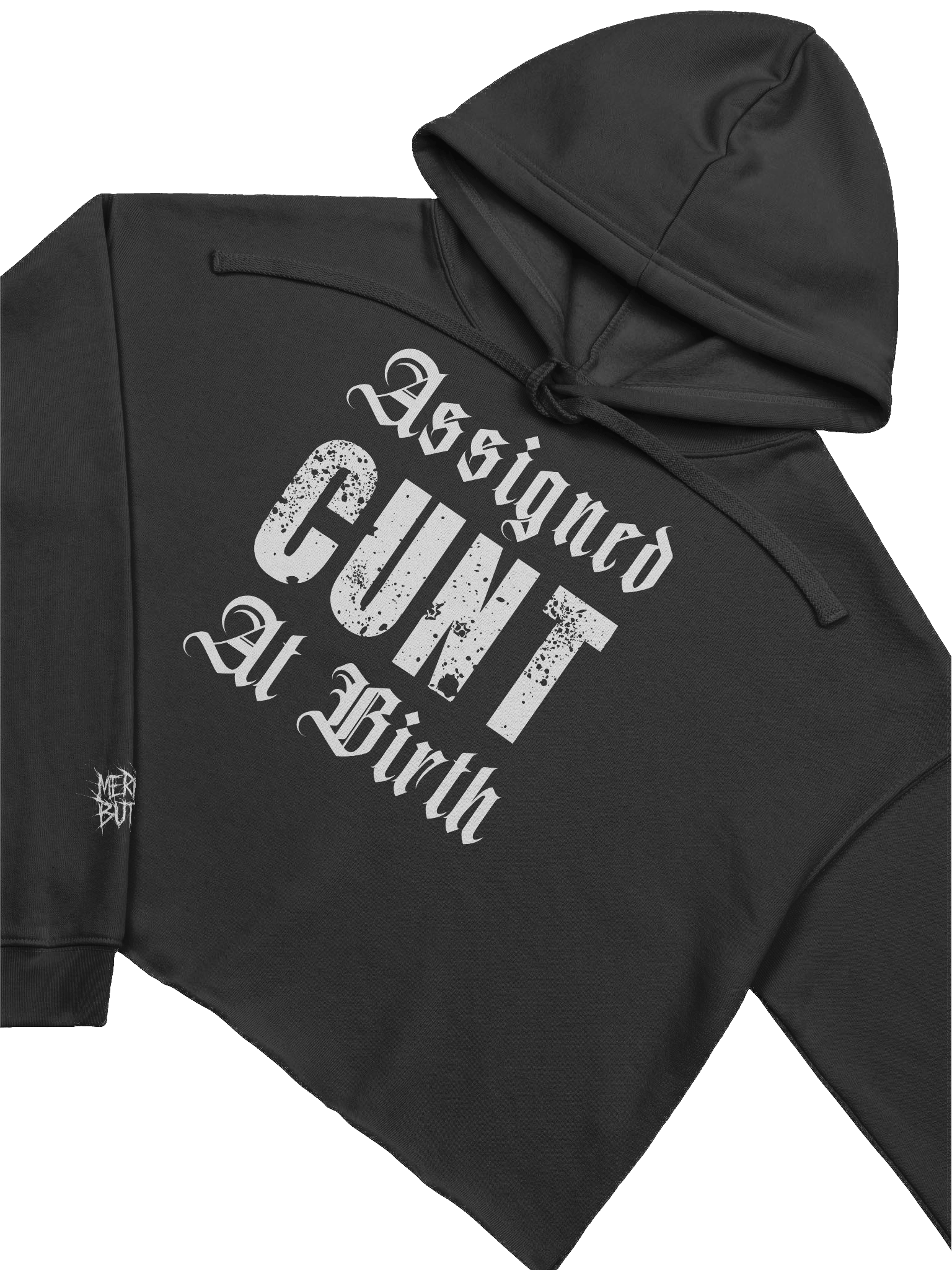 Assigned W Crop Hoodie product image (2)