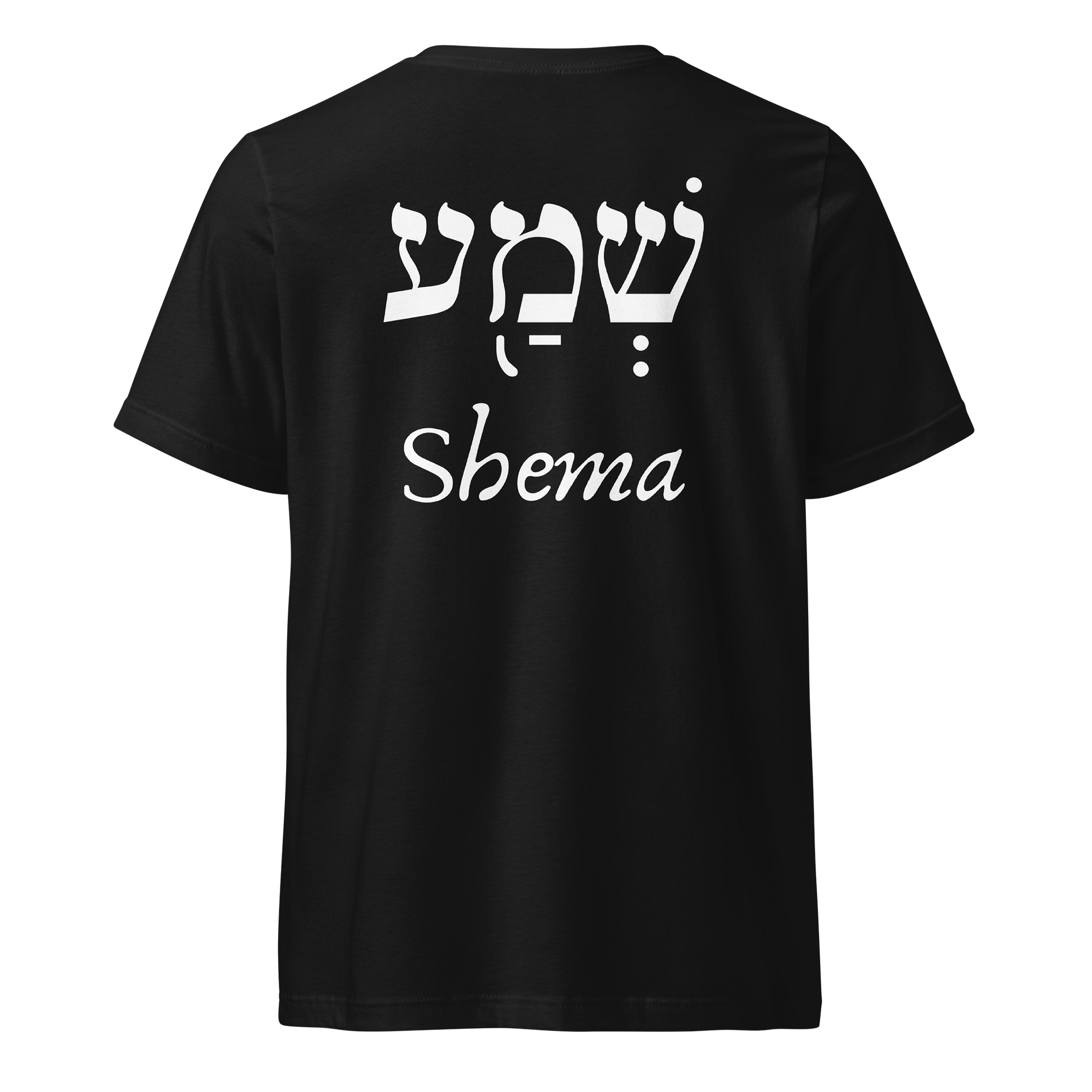 The Great Shema V-Neck Tee product image (3)