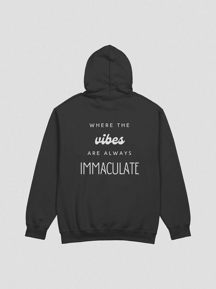 Immaculate Vibes Hoodie product image (19)