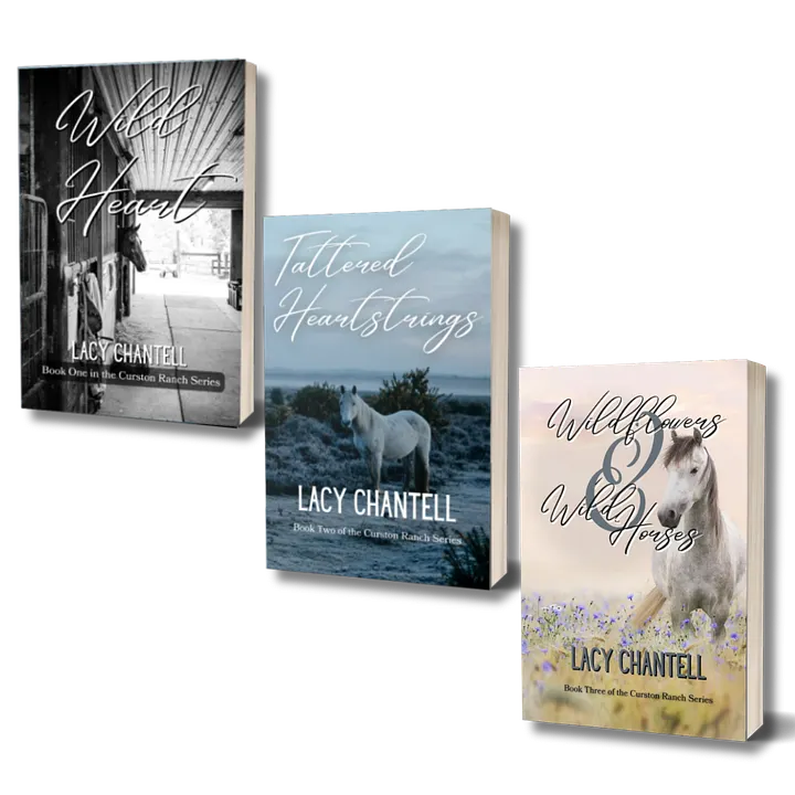 Imperfect Curston Ranch Series Paperback product image (1)