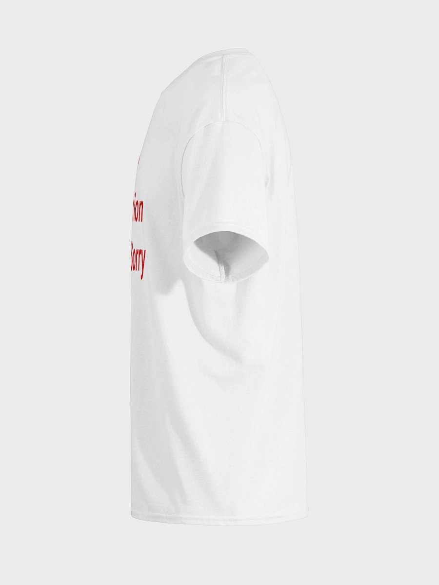 NO Inspiration Today, Sorry T-Shirt product image (31)