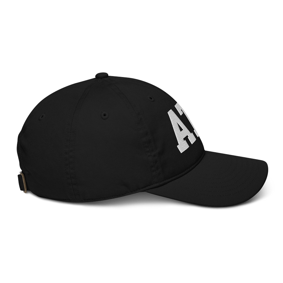 ATC Organic Dad Hat by Econscious product image (5)