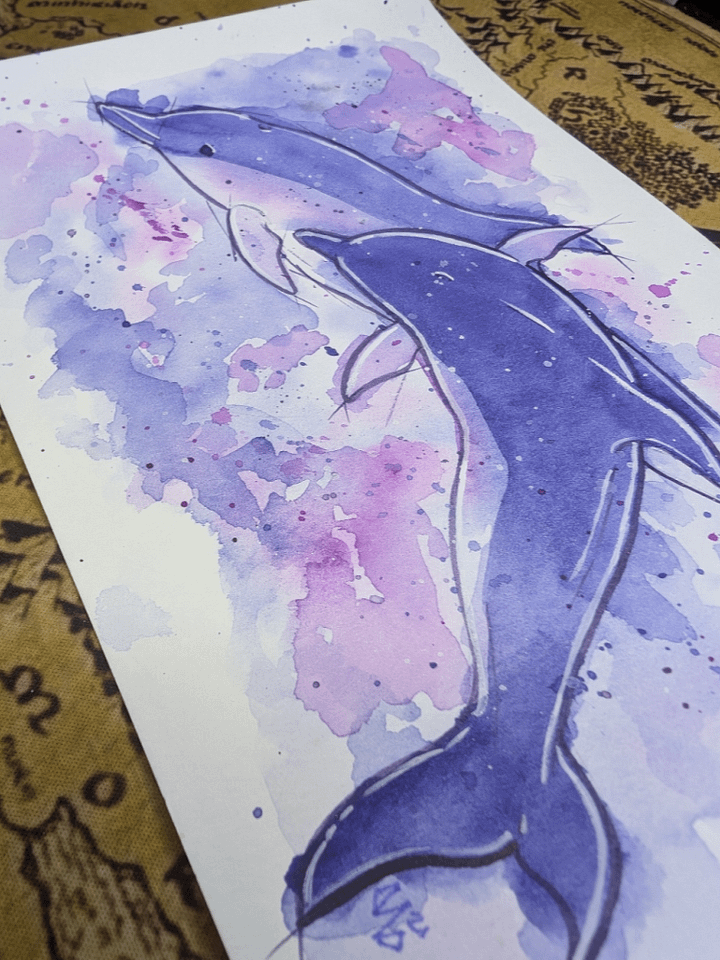 Dolphin Ink Sketch Watercolor product image (2)