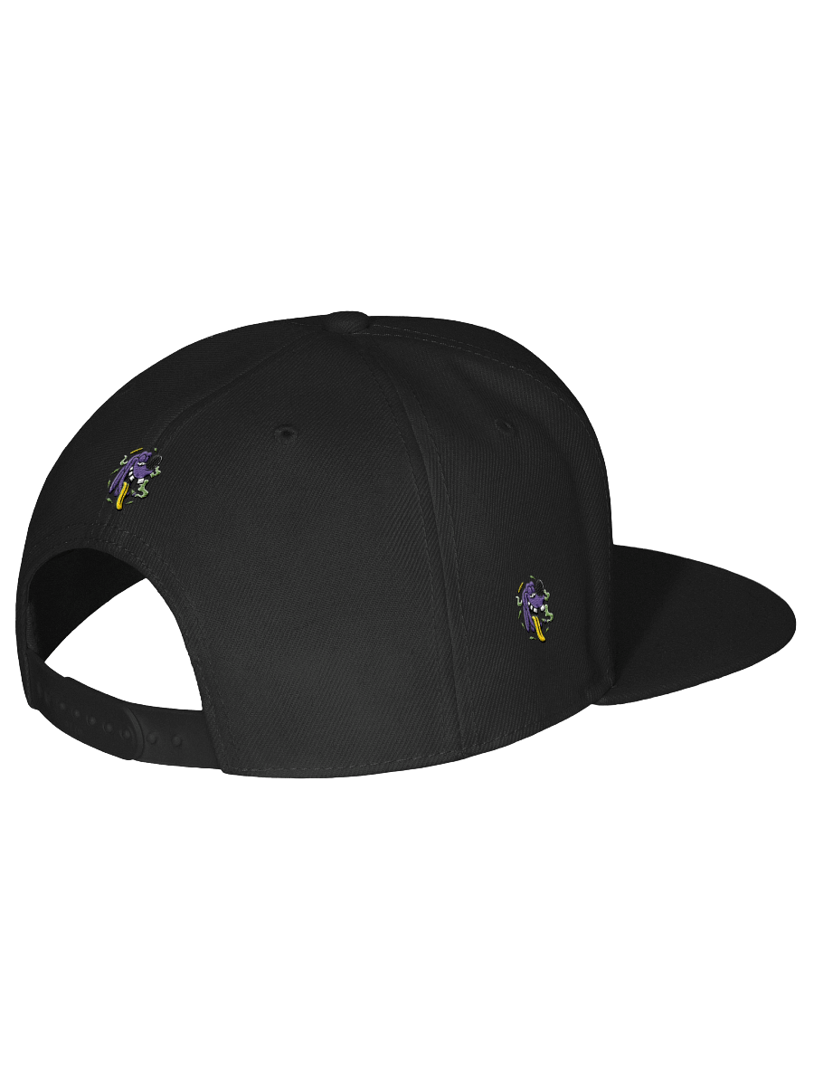 Official Lil Bizzy Snapback product image (35)