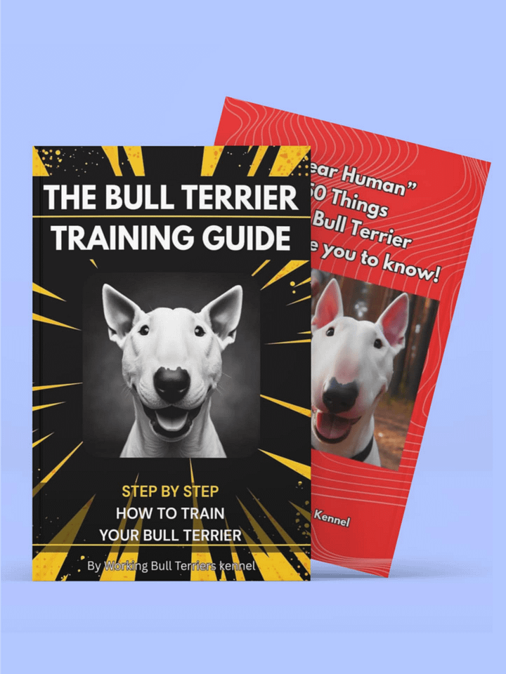 The Bull Terrier Training & Bond Pack product image (1)