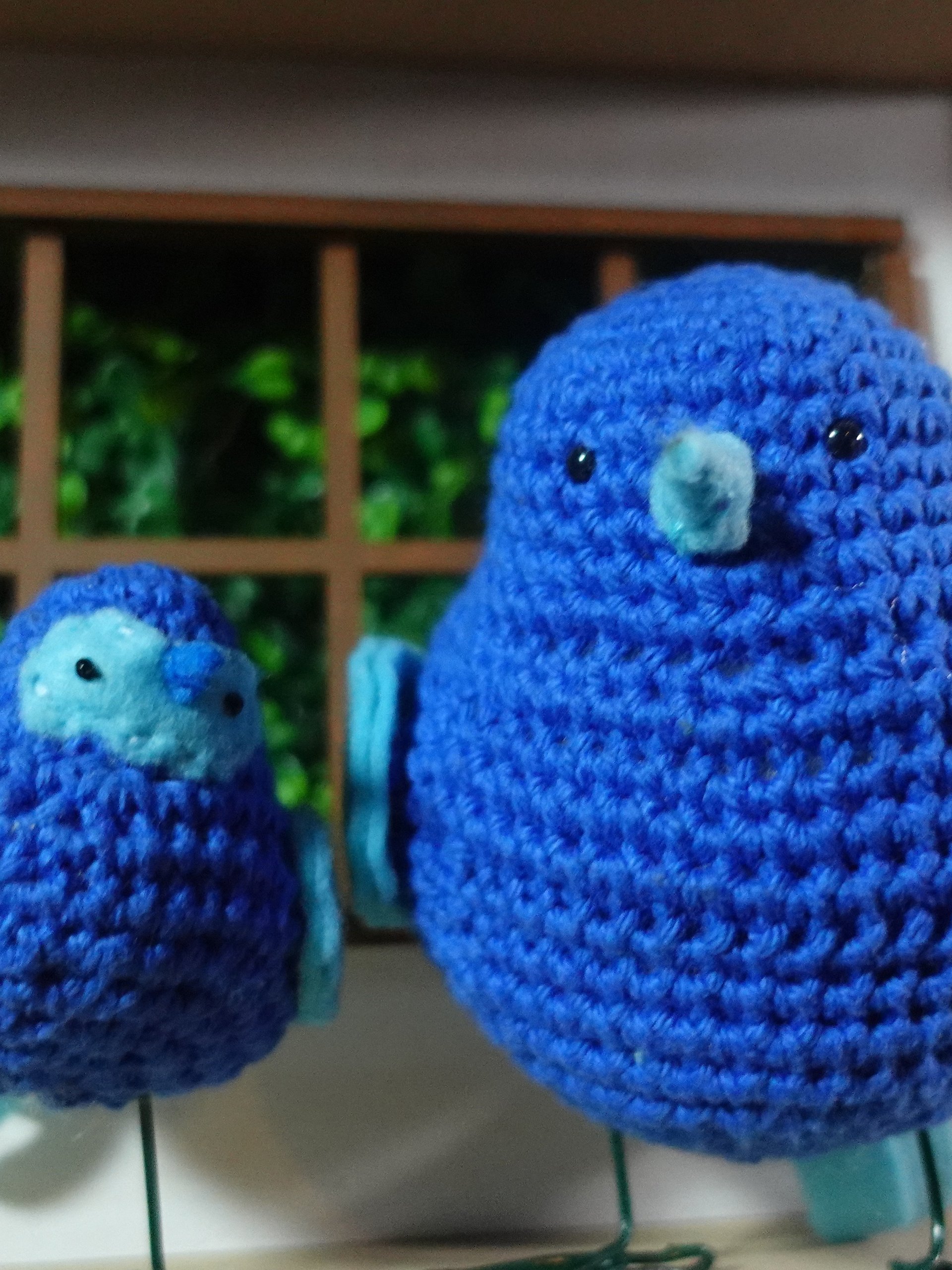 BIRD BUNDLE all 3 sizes! product image (6)