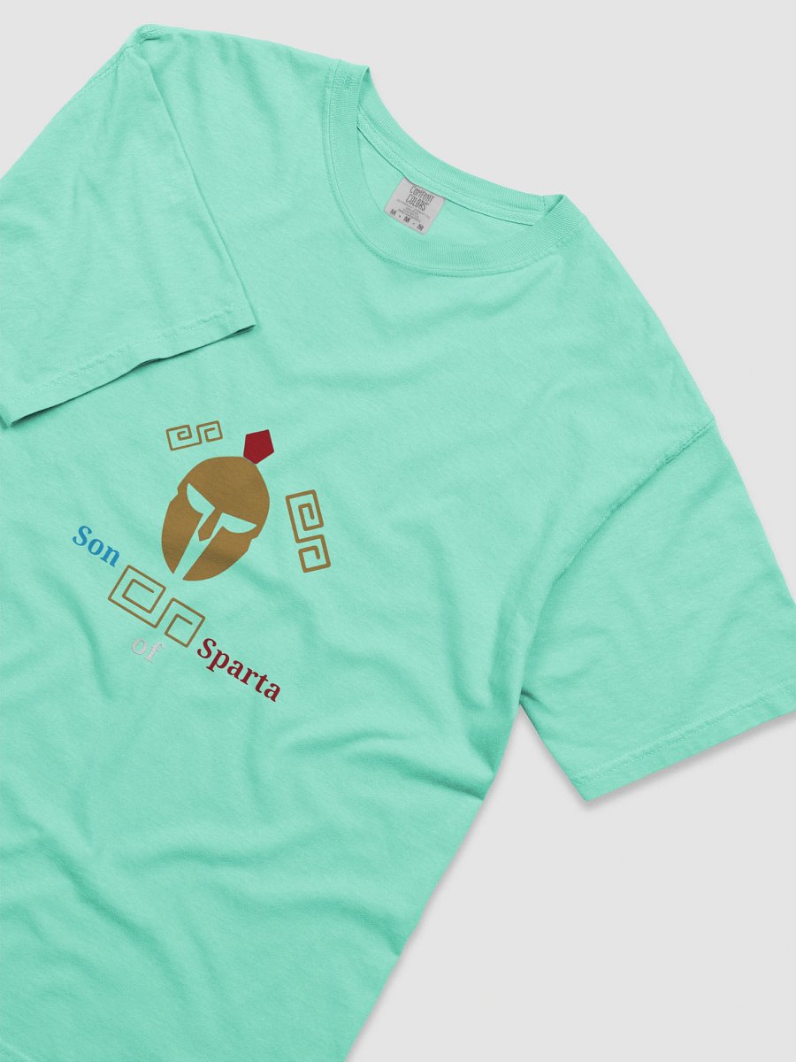 Spartan Crest Comfort Tee product image (5)