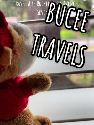 Come on an adventure with Bucee, and travel from Texas to Camden NJ to see Avenged Sevenfold #bucee #bucees #avengedsevenfold #avenged #avengedsevenfoldtour #screammovie #VozDosCriadores 