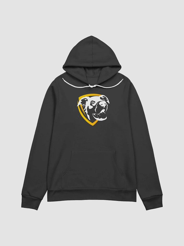 Audio Hoodie product image (1)