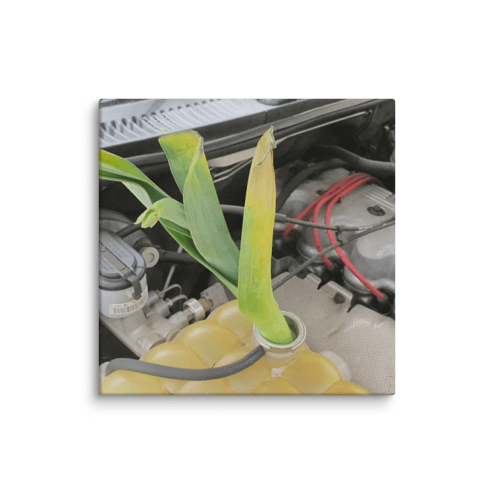 Leaky Coolant Canvas product image (2)