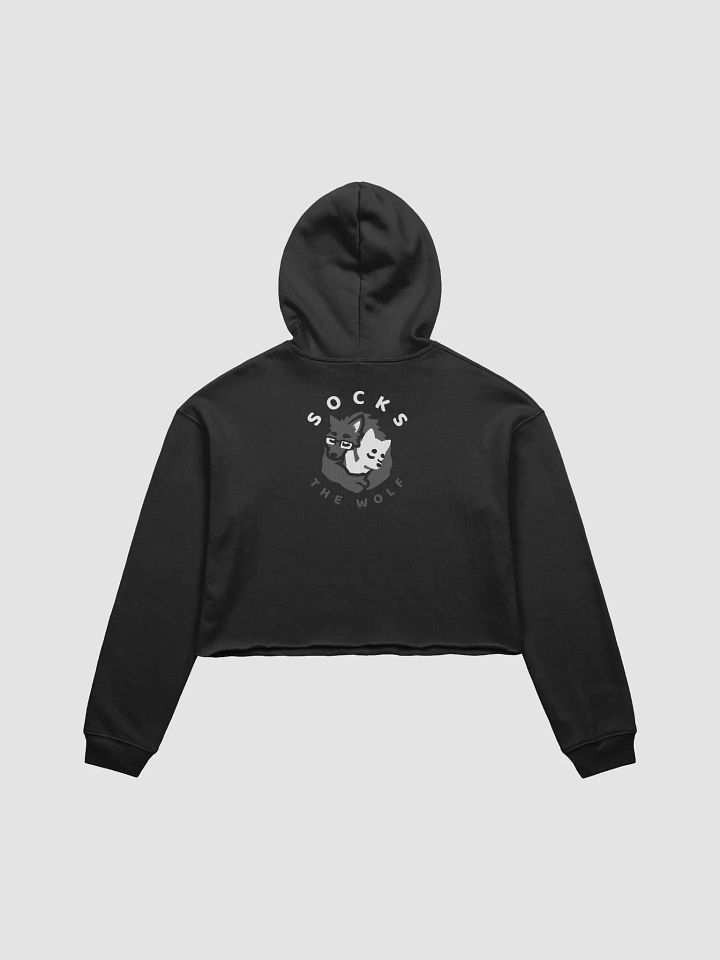 CropTop Hoodie product image (2)