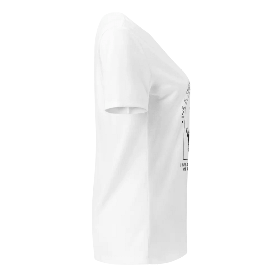 I'm a Christian Apologist Books V-Neck T-Shirt product image (33)