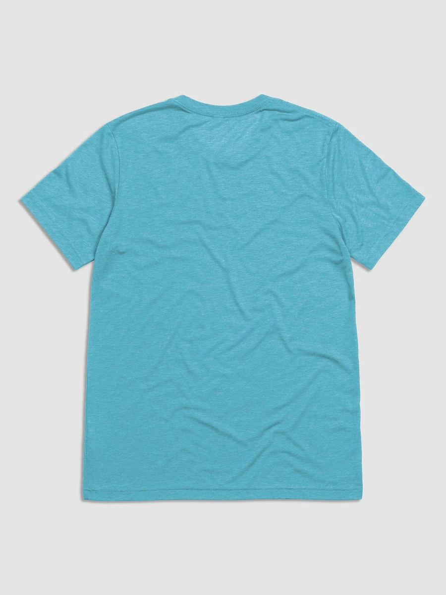Beware of the people at the top of the bell curve (Triblend Short Sleeve) product image (13)
