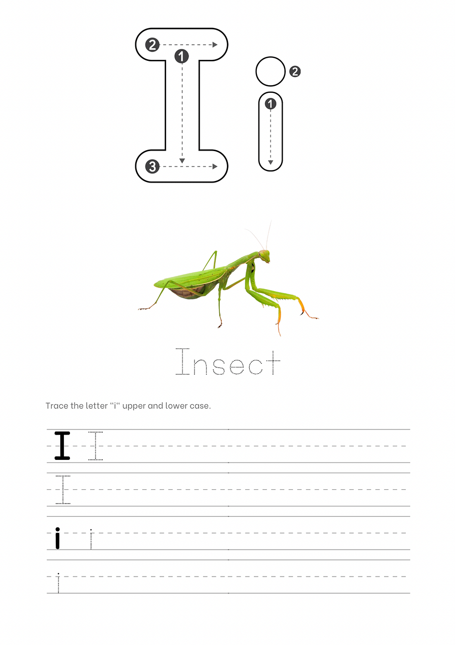 Animal letter tracing workbook product image (3)