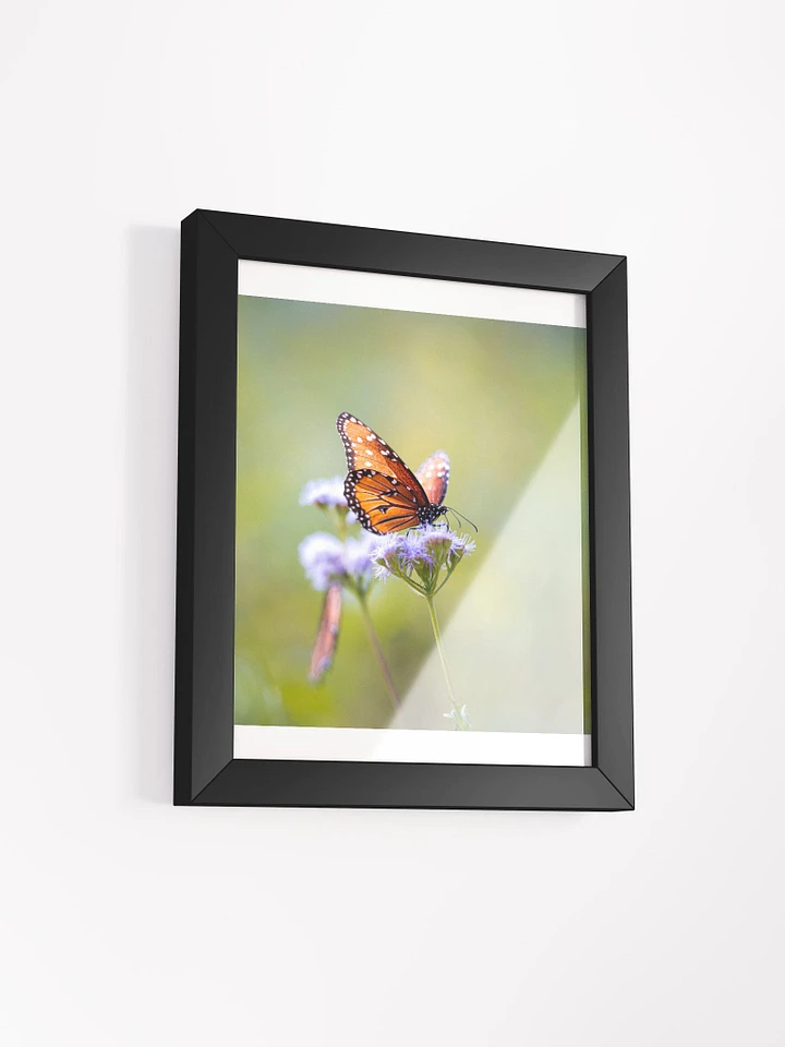 Butterfly In Light product image (15)