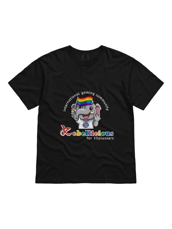 Comfort Colors Pride T-shirt product image (6)