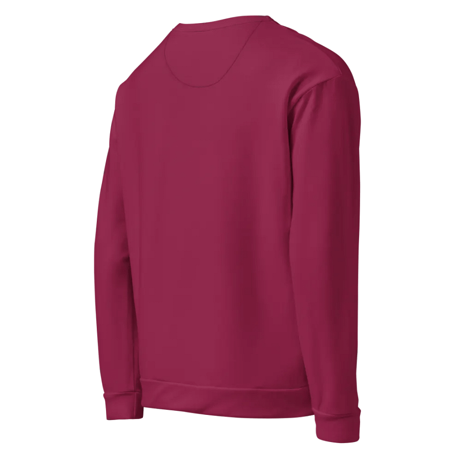 Plain Dark Red True Summer Unisex Recycled Polyester Heavyweight Premium Sweatshirt by Treasure Pie product image (6)
