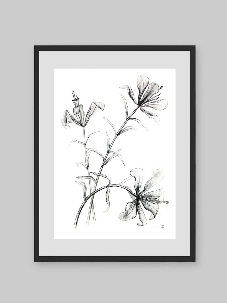 Lily Botanical Drawing Poster - Wild Elegant Flowers product image (9)