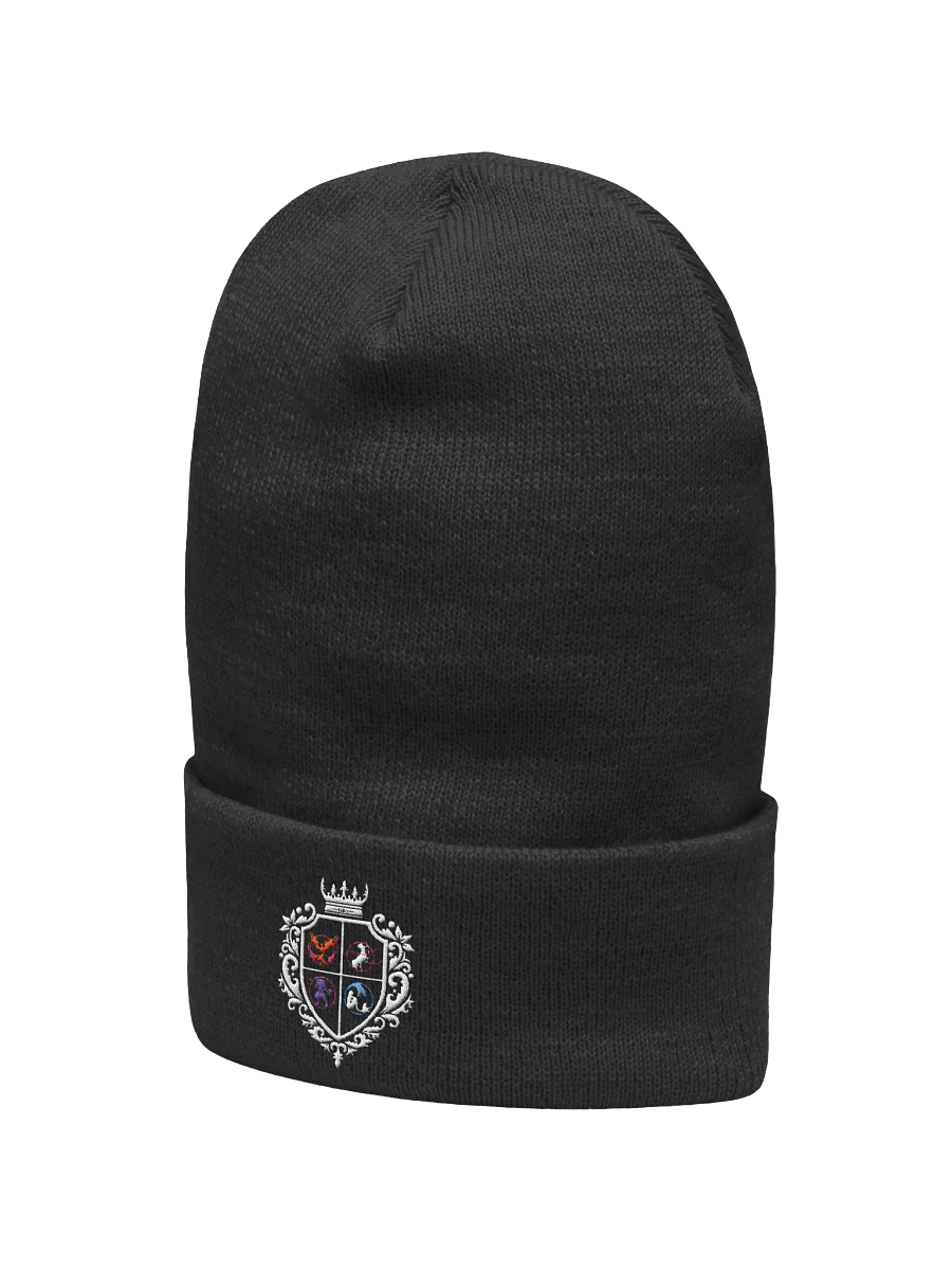 Dezcimator black beanie product image (5)