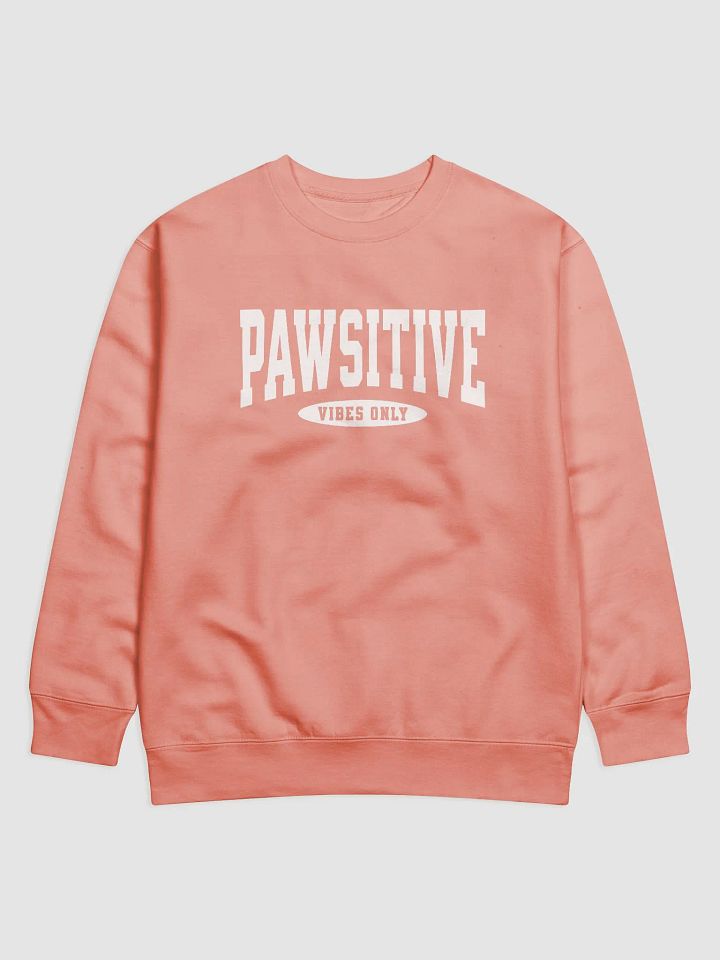Pawsitive Vibes Only Premium Sweatshirt product image (1)