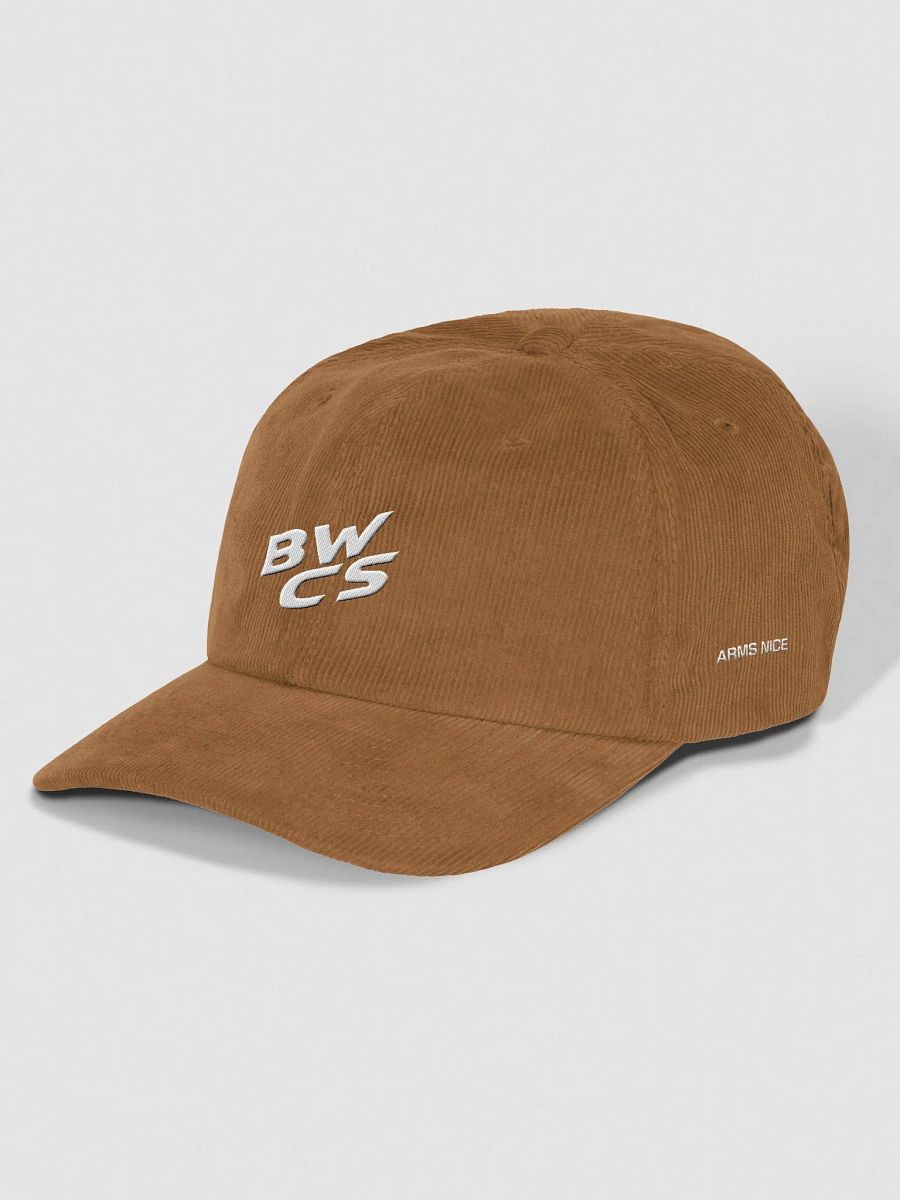 LIMITED RUN - The Champion Dad Cap product image (3)