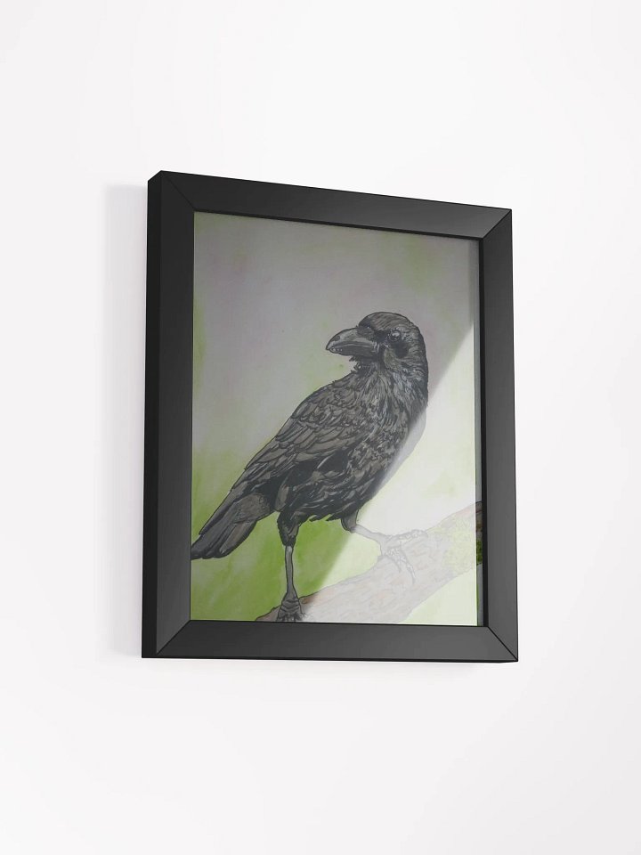 Corvid Series [00] Carrion crow framed print product image (2)