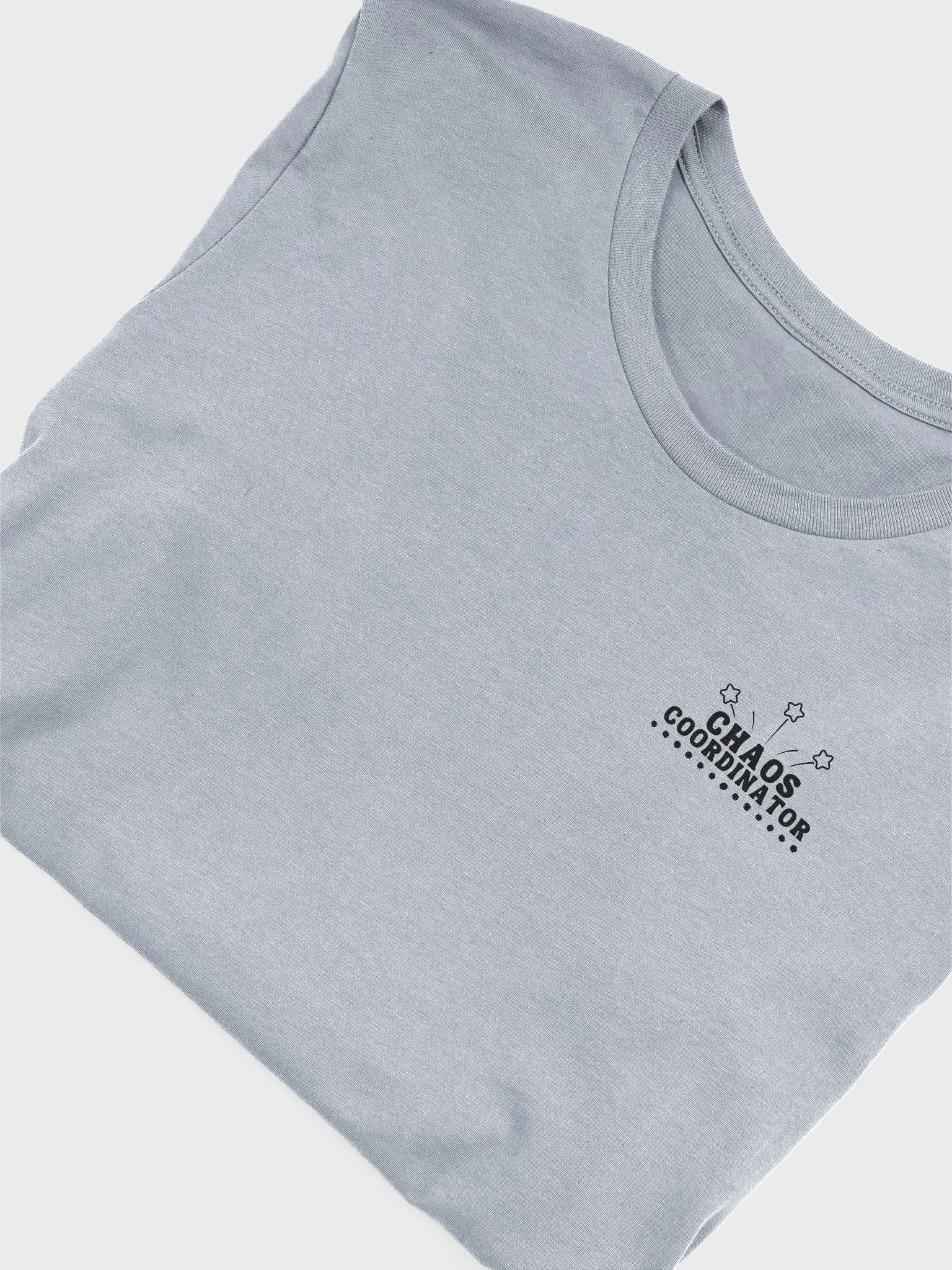 Chaos Camp Coordinator T-Shirt product image (15)