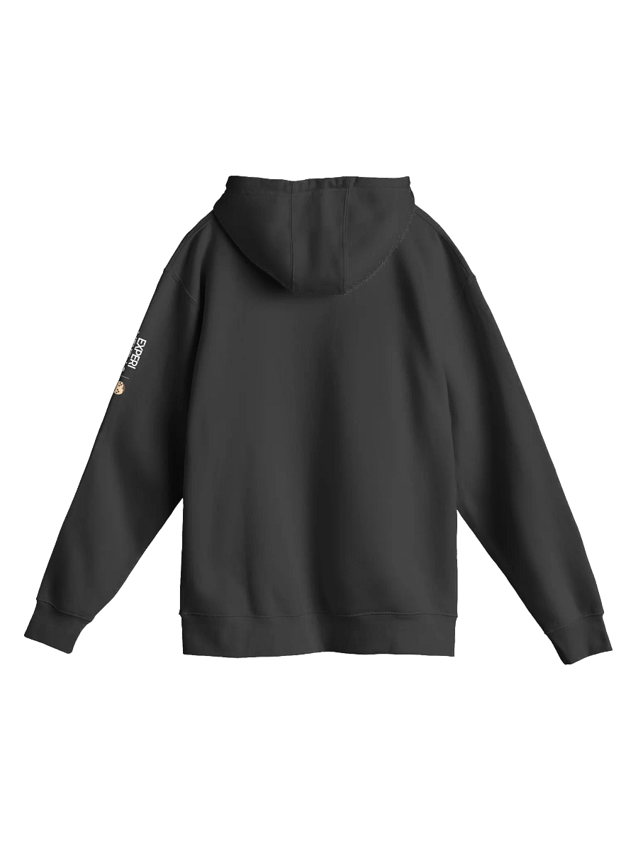 The EXPERIMENTALS Elite Hoodie product image (2)