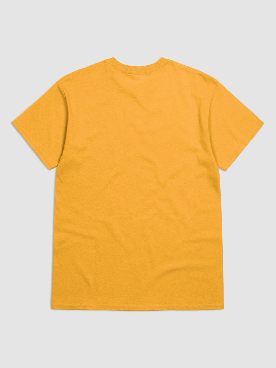 Alpha Delta Gamma Class of 2025 T-Shirt product image (8)