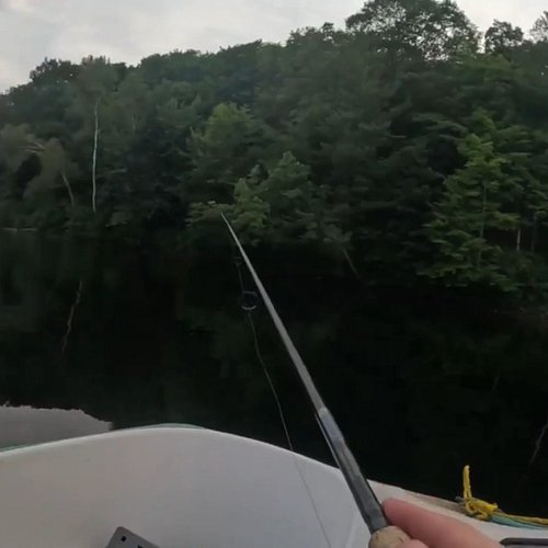 Caught a big one today !