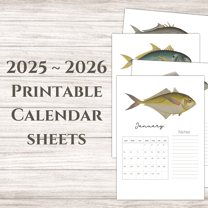 2025- 2026 PDF Calendar: Ocean Life product image (1)