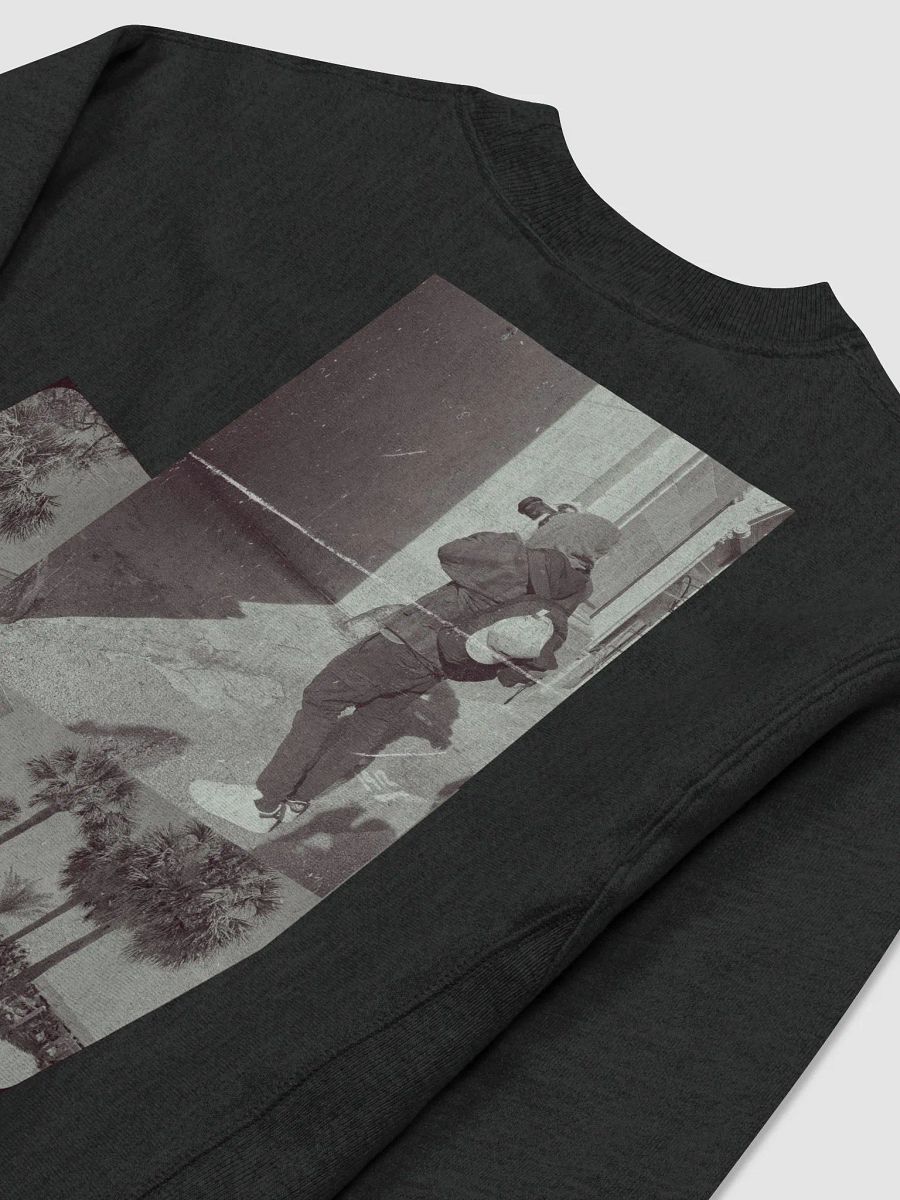 Introvert Champion Sweater product image (4)
