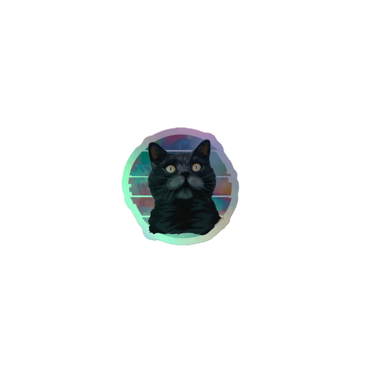 Black cat product image (1)