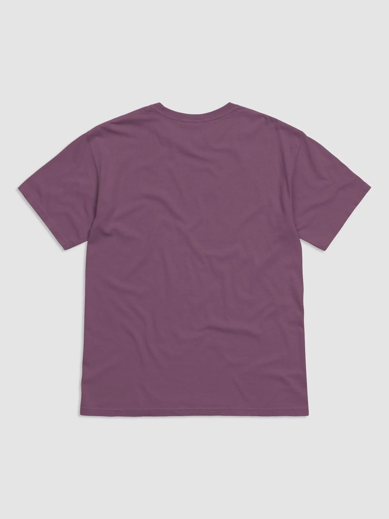 EXIST & GROW Distressed T-Shirt product image (7)