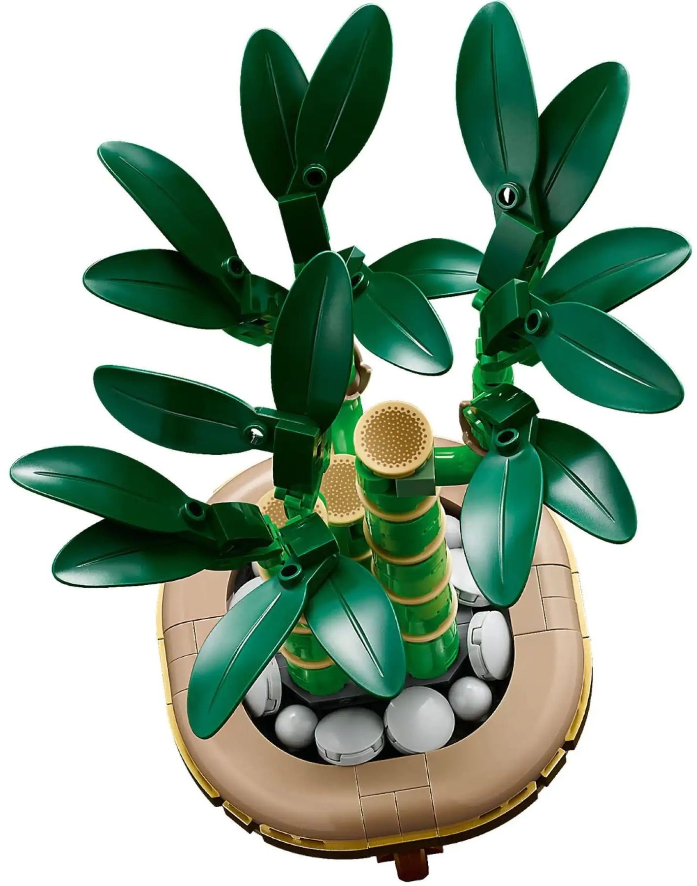 LEGO Botanicals - Bambus Norocos product image (3)